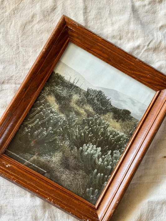 Vintage Cactus Print